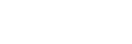 Nippon Gases logo